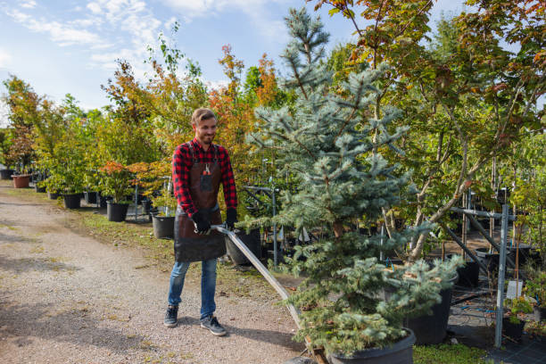 Best Organic Lawn Care Solutions  in Meadville, PA